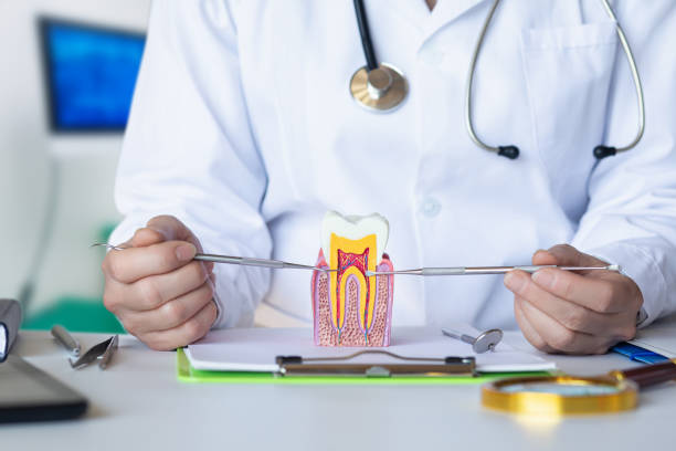 Best Cosmetic Emergency Dentistry in Wenatchee, WA